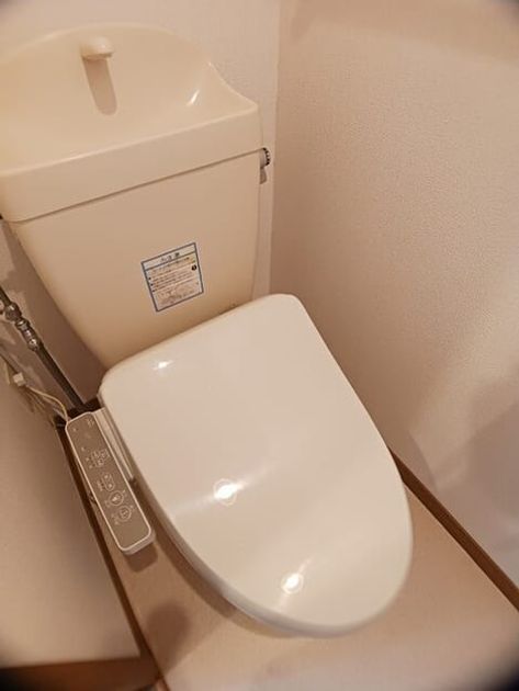 Naikan8 20260205000000 945x630