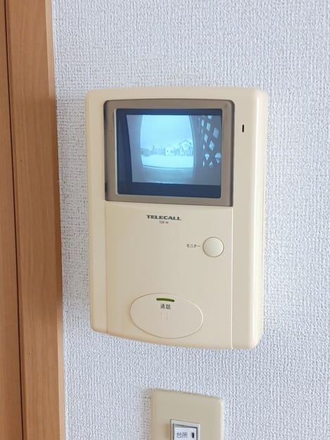 Naikan11 20260123000000