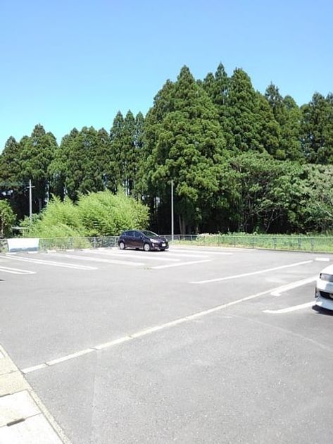 Naikan9 20200616000000 945x630