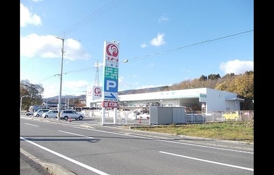 Naikan17 20200214000000 945x630