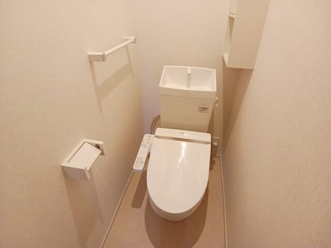 Naikan12 20260203000000