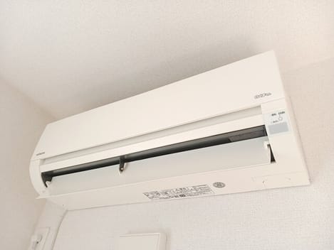 Naikan8 20260203000000
