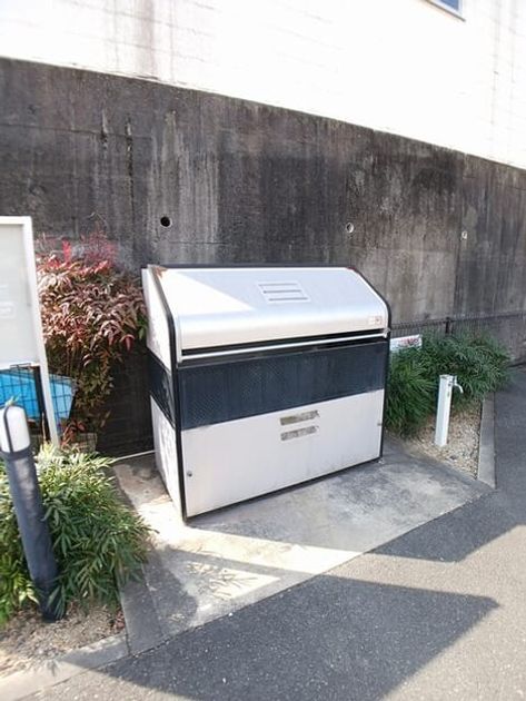 Naikan11 20260210000000 945x630