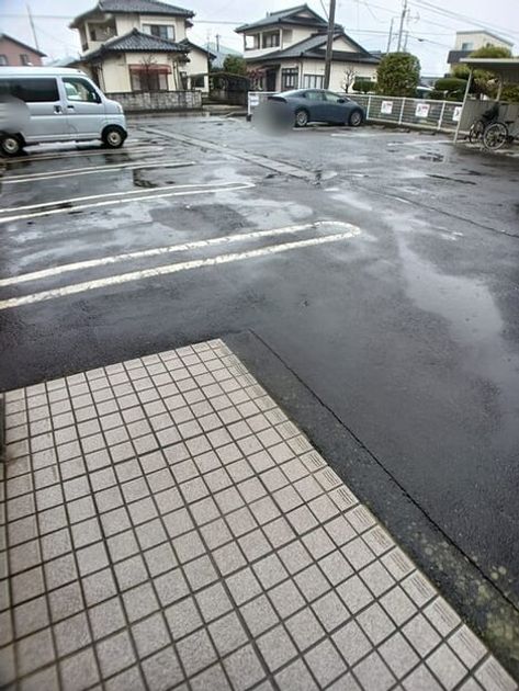 Naikan11 20260311000000 945x630