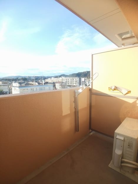 Naikan11 20241209000000