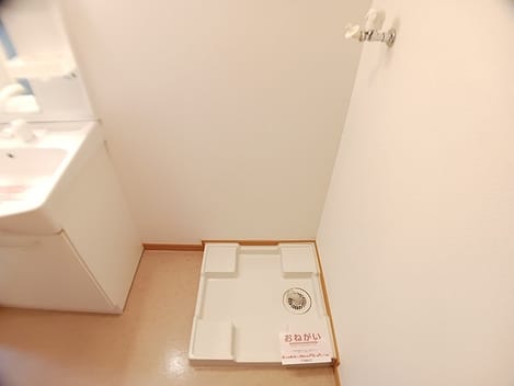 Naikan11 20260911000000