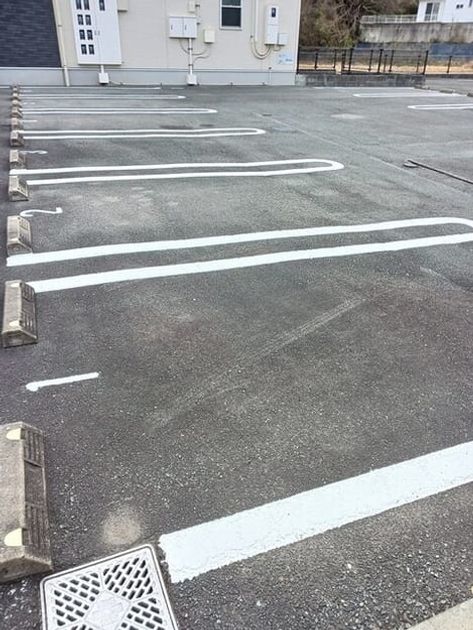Naikan12 20260205000000 945x630