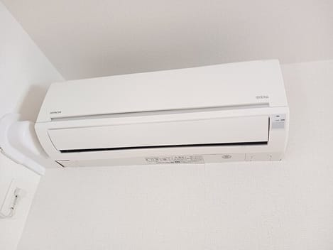 Naikan10 20260123000000