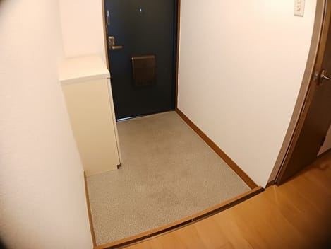 Naikan6 20241112000000