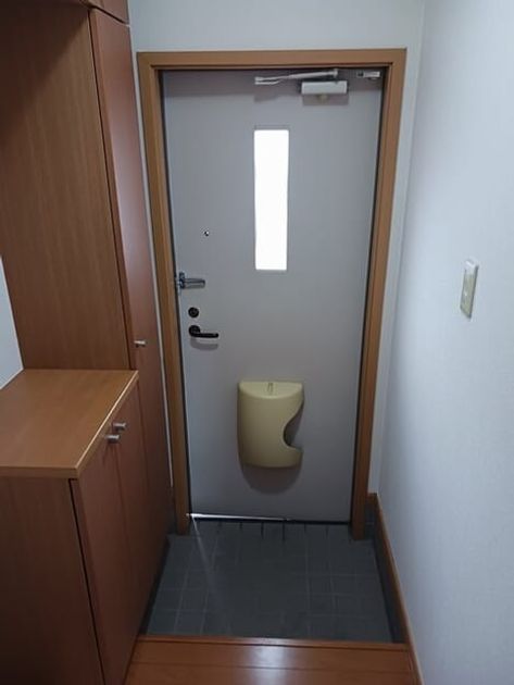 Naikan6 20260326000000 945x630