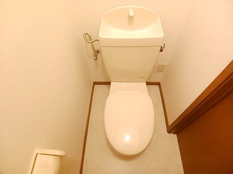 Naikan5 20260626000000
