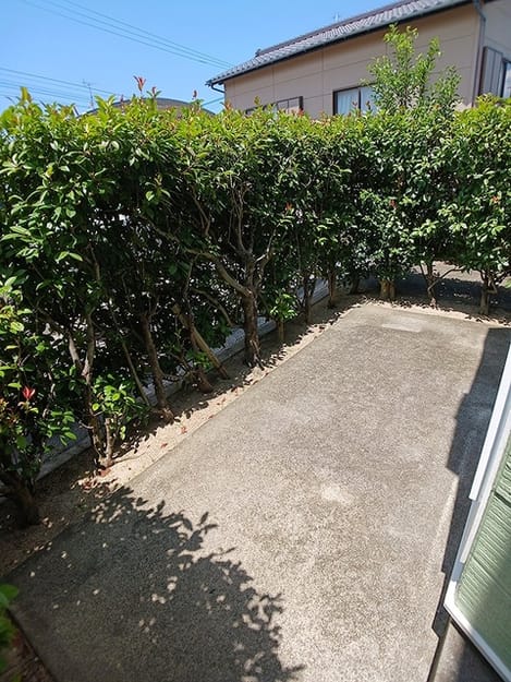 Naikan10 20260722000000