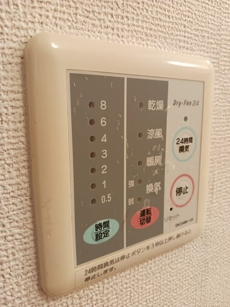 Naikan10 20260420000000