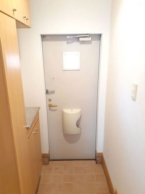 Naikan9 20260602000000 945x630