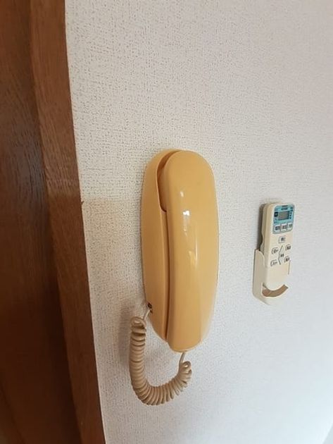 Naikan8 20230203000000 945x630