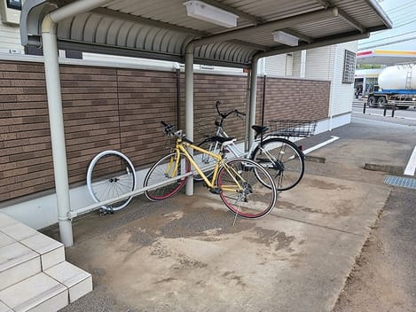 Naikan11 20260903000000