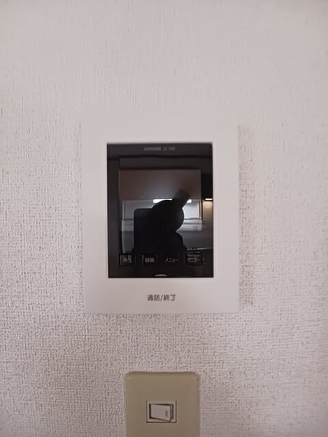 Naikan11 20260428000000