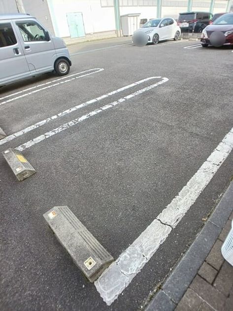 Naikan11 20260319000000 945x630