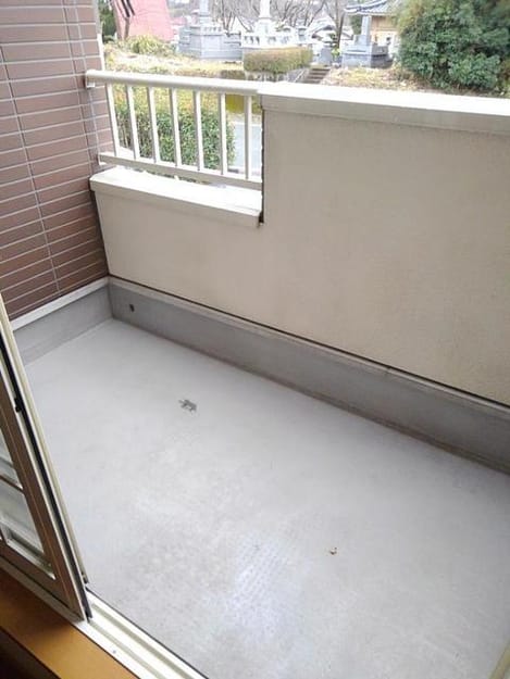 Naikan8 20220922000000