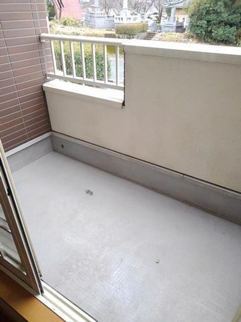Naikan8 20220922000000 945x630