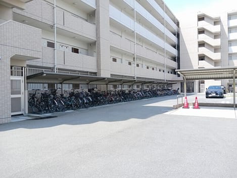 Naikan11 20260513000000