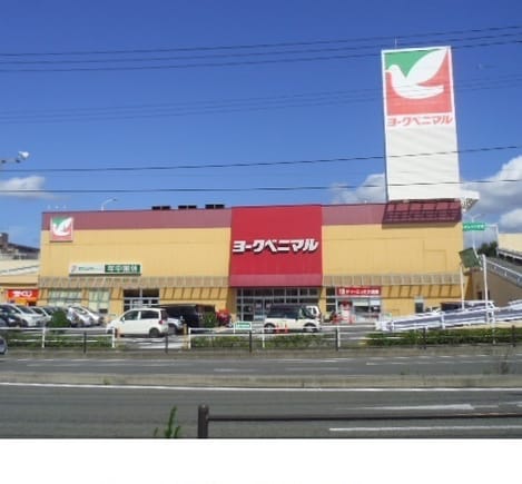 Naikan15 20211105000000