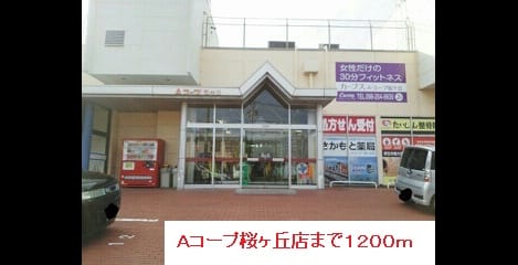 Naikan13 20150204000000