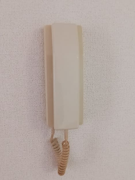 Naikan12 20260611000000