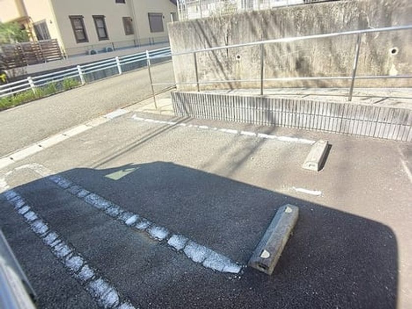 Naikan11 20261028000000 945x630