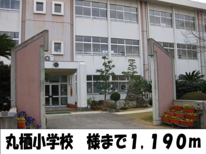 Naikan17 20140512000000 945x630