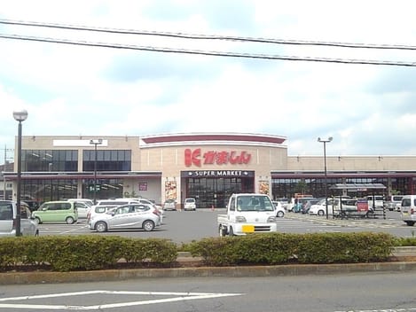 Naikan13 20250519000000