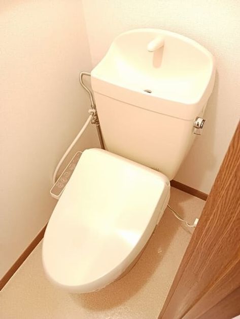 Naikan8 20261020000000 945x630