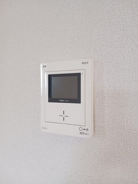 Naikan11 20250130000000