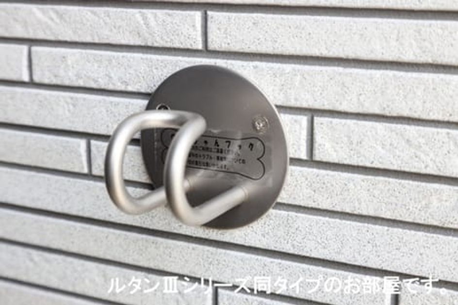 Naikan12 20260519000000 945x630