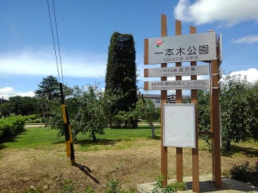 Naikan18 20260113000000 945x630