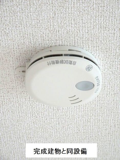 Naikan6 20260611000000
