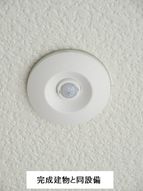 Naikan7 20260611000000