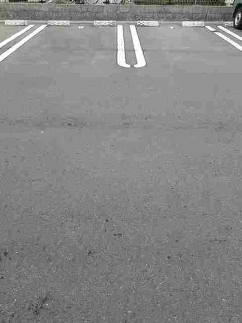 Naikan11 20210507000000 945x630