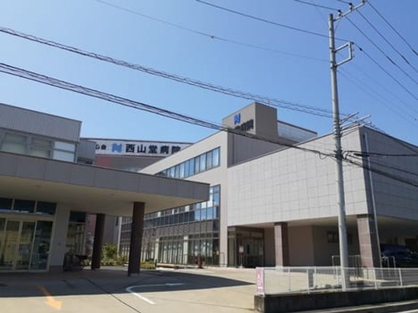 Naikan14 20260219000000 945x630