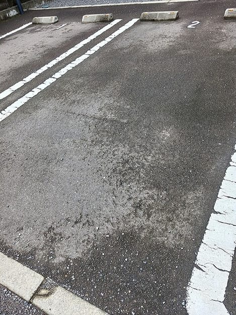 Naikan11 20260916000000