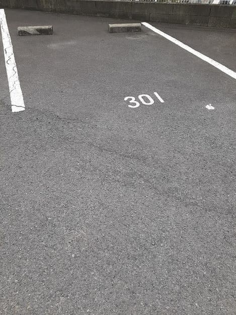 Naikan11 20220607000000