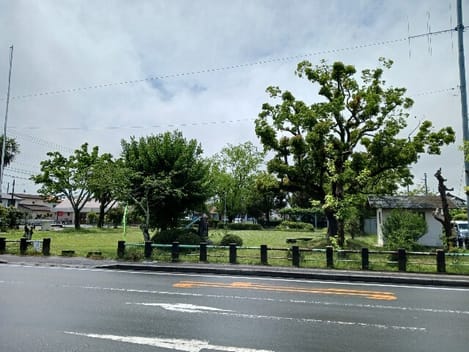 Naikan18 20260519000000