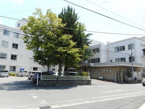 Naikan17 20230406000000