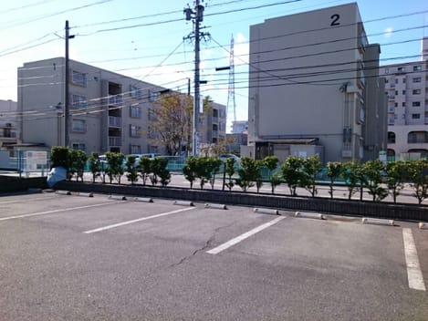 Naikan11 20260617000000