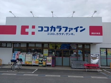 Naikan15 20260831000000