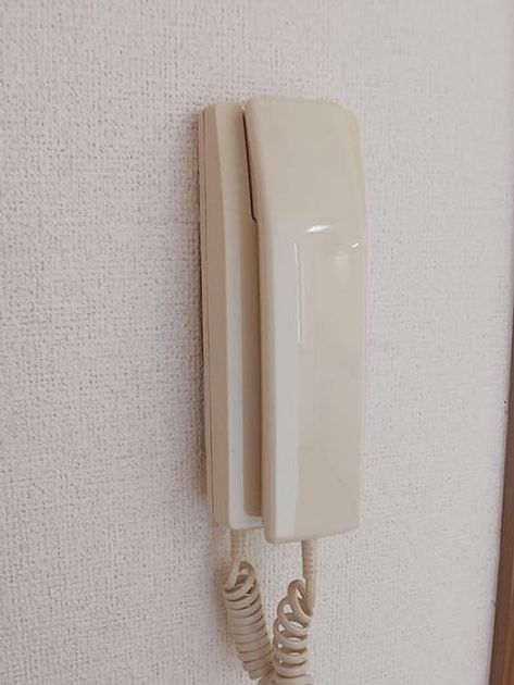Naikan12 20260925000000 945x630