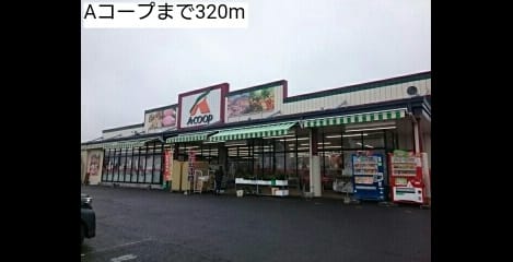 Naikan13 20190111000000