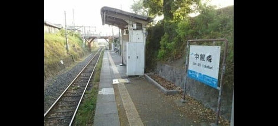 Naikan18 20241025000000 945x630