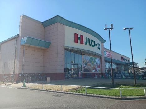 Naikan13 20241107000000