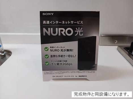 Naikan11 20260427000000
